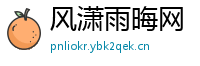 风潇雨晦网